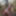 naked jerking in public outdoor woods and get caught