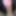 New April 2019 #21