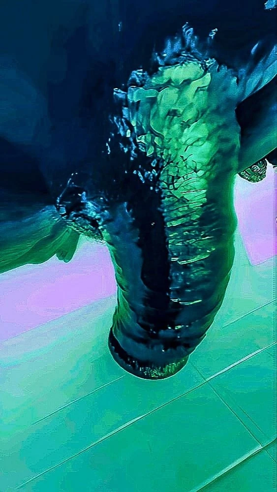 Bbc