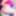 Sissy Sluts big bouncy boobies album 2024 #4