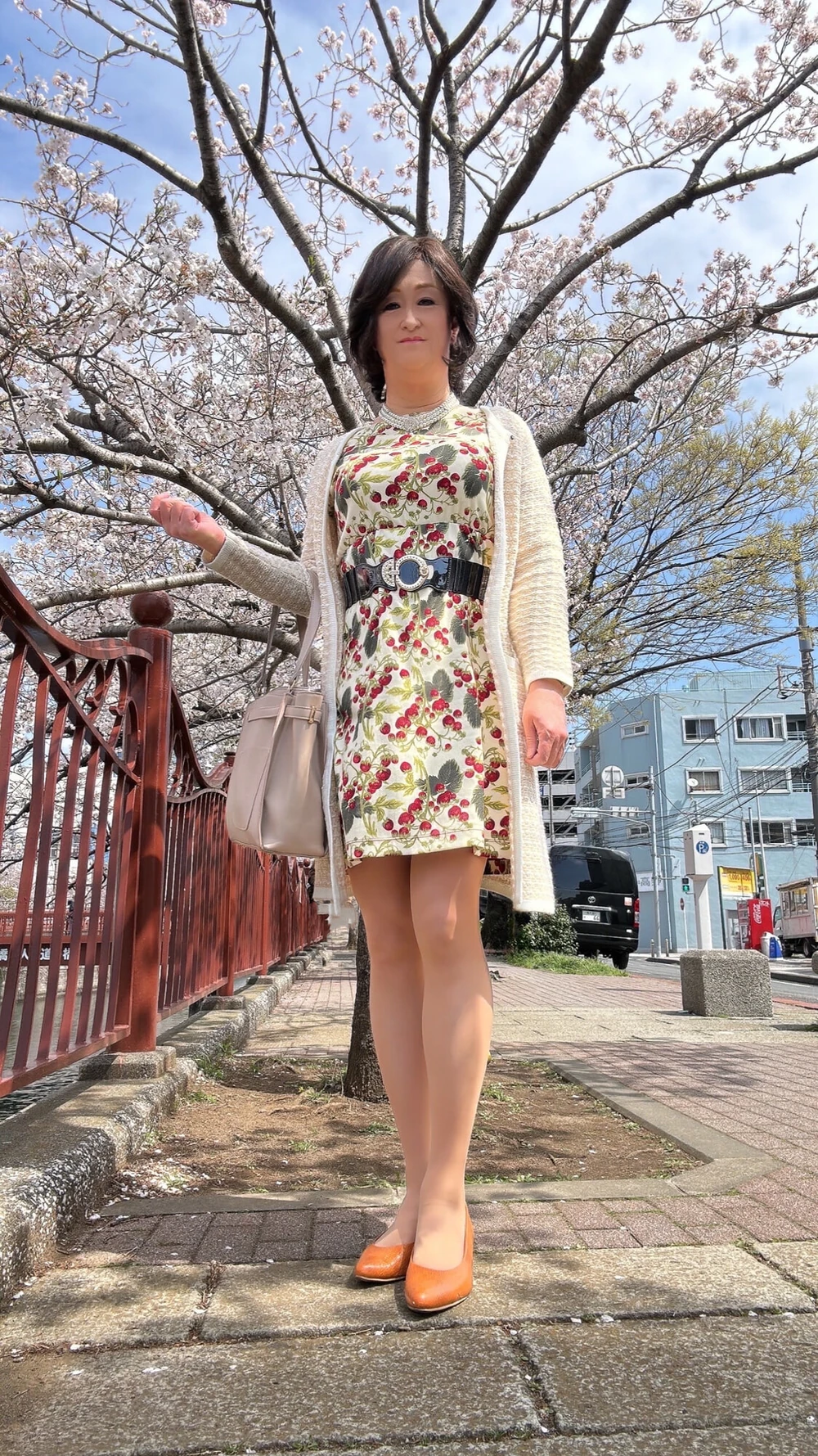 Cherry blossom 