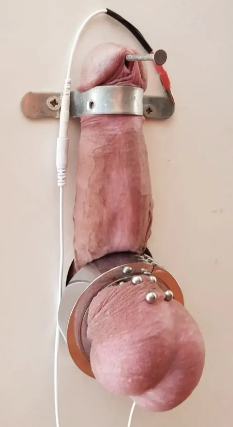 E stim on pierced cock