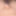 新しい写真