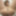 Sexdoll Gina t the toilet #26