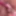 Ihre geile Sperma Fotze