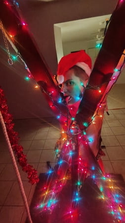 Festive in the cross