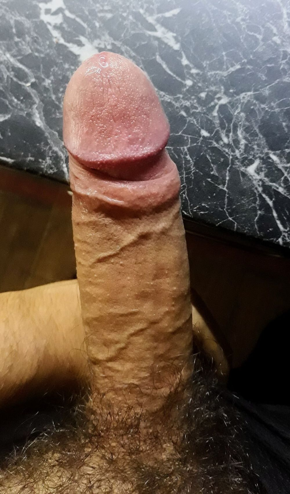 Closeup Cock #5