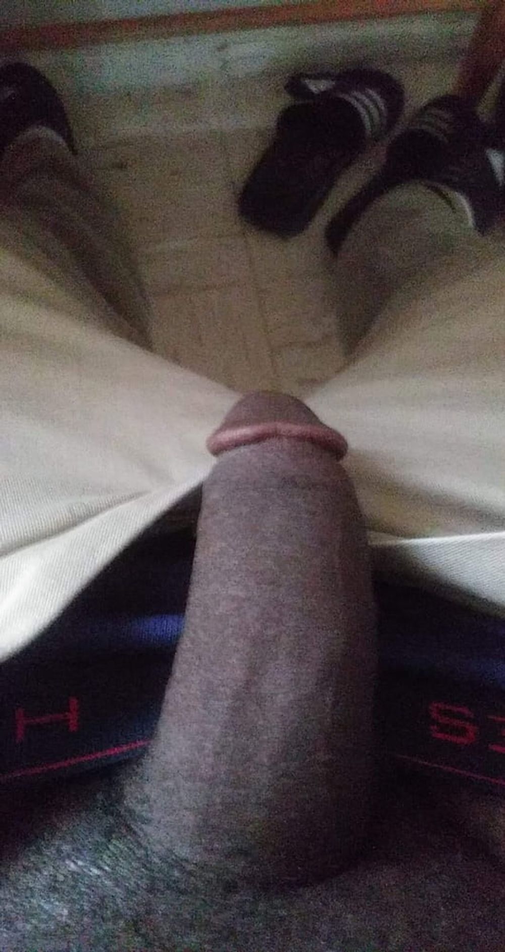 Dick  #5