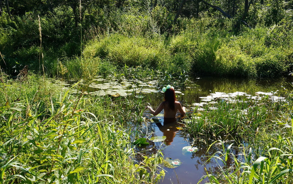 in a weedy pond #28