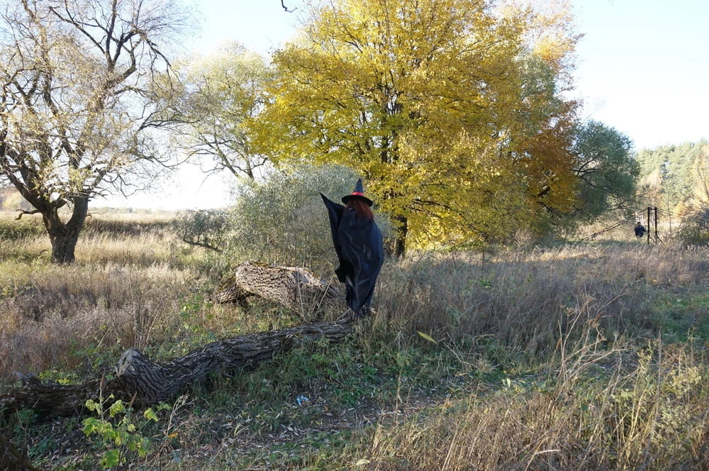Witch on the Tree #5