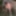 Selfie Porn Pic 97 #47