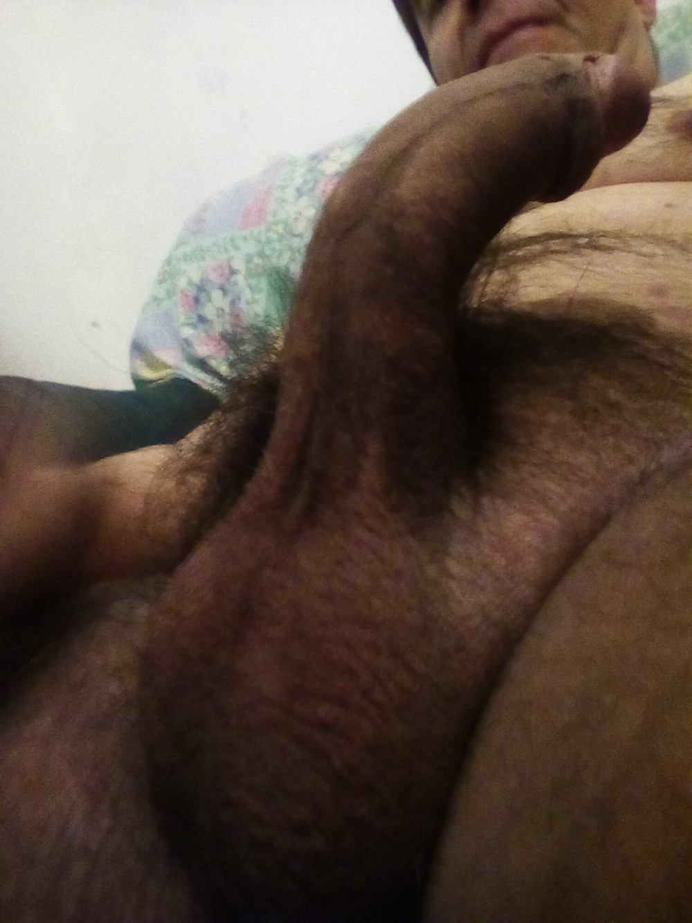 StallionXXX #15