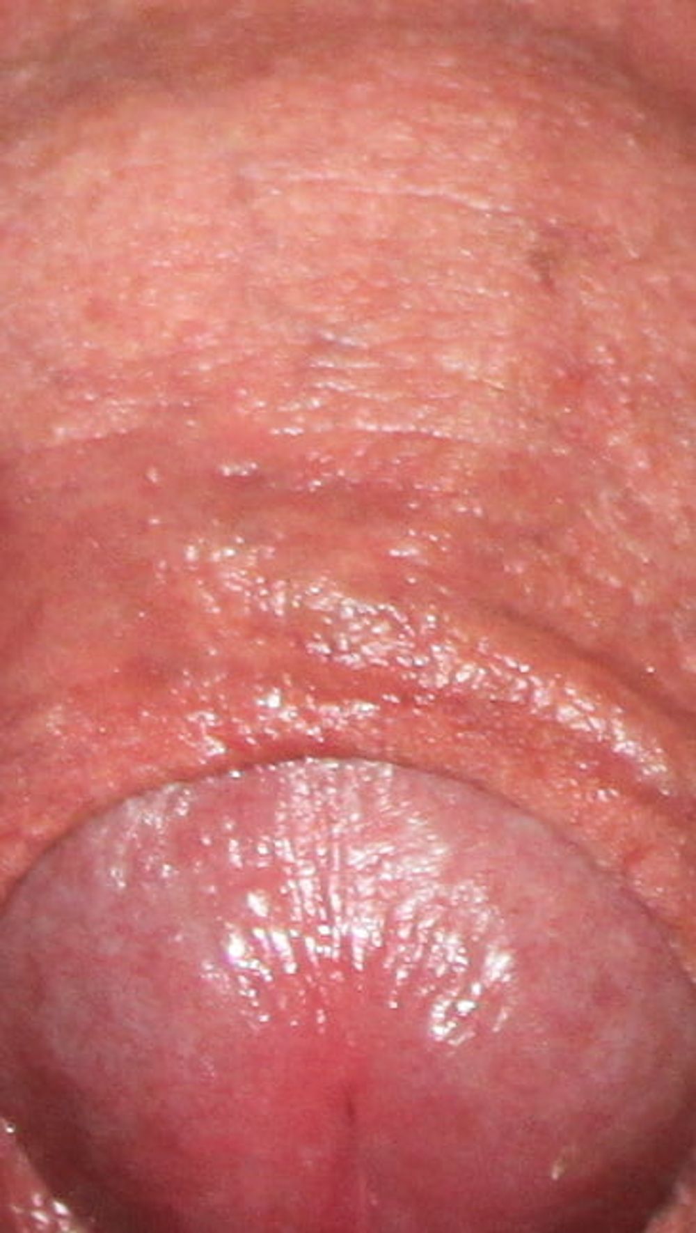 Close up dick #28