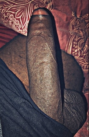 Black cock 