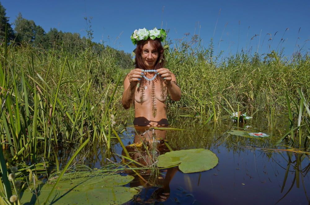 In pond with waterflowers #16