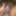 Indian big horny dick 