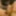 The head of the penis without the foreskin  #3