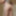 Ass ass and ass #56