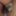 Daily duty of the naked slave April 2nd, 2024 #3