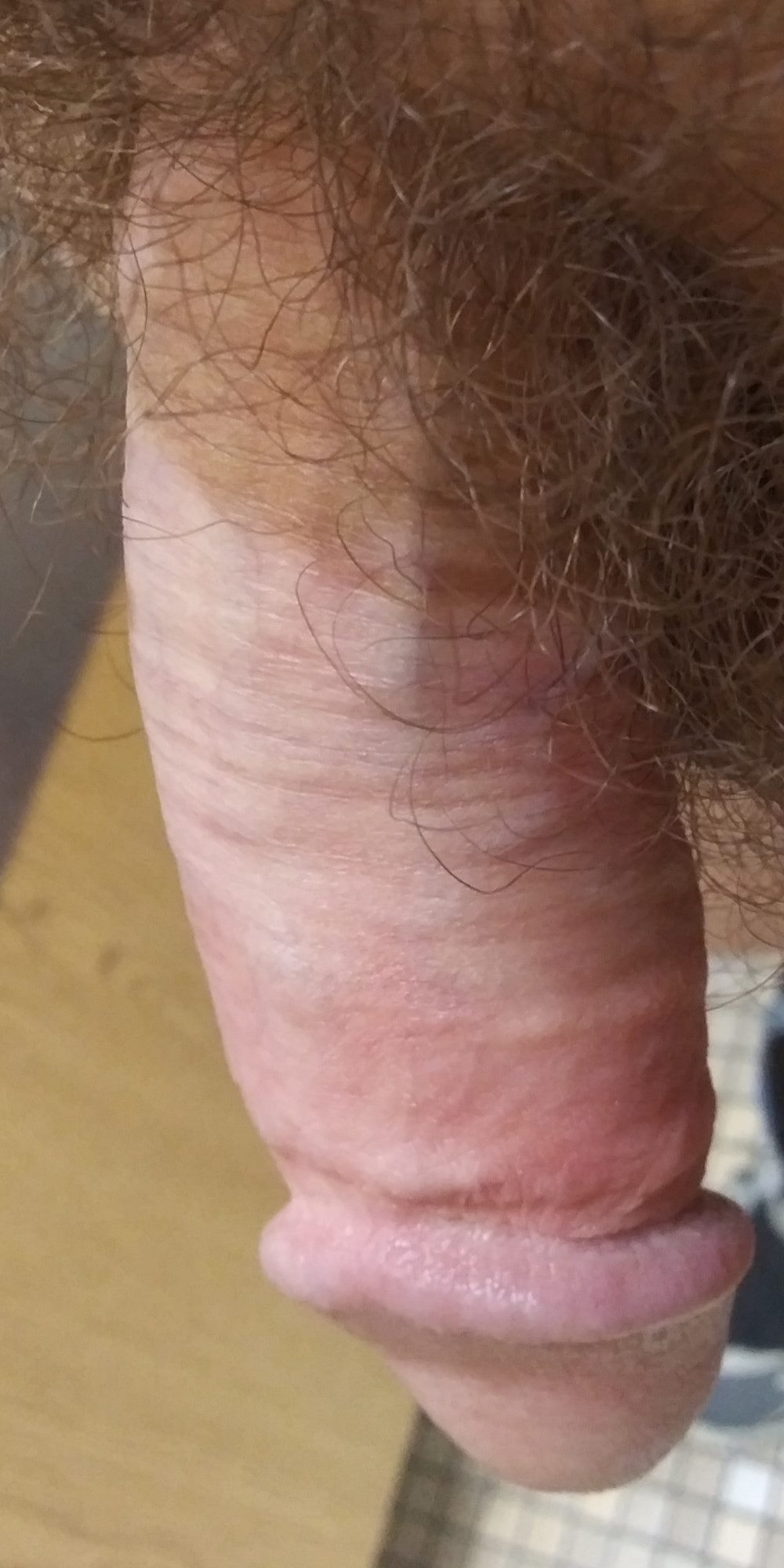 Public Restroom Ass Cock 6 #16