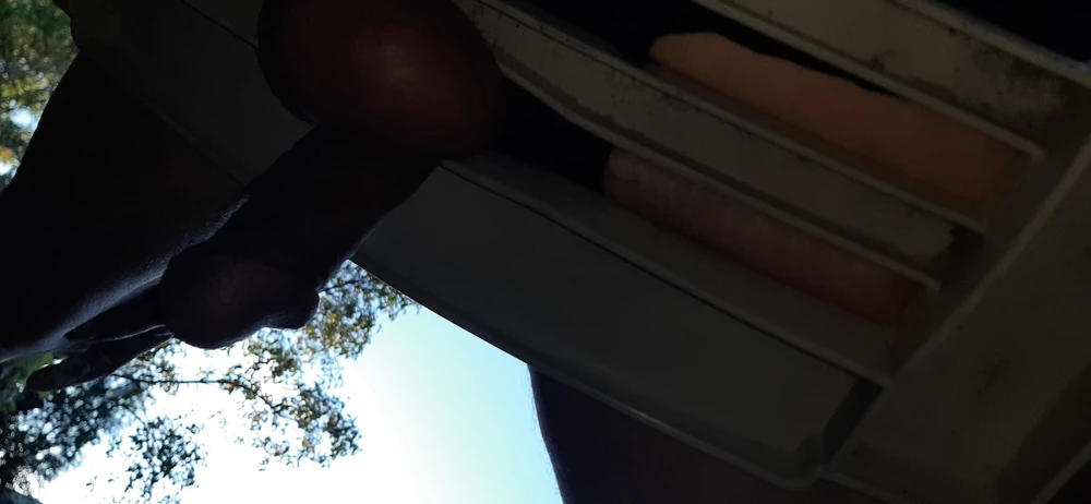 Cock #4