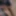Meiner 2