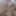 Worthless Desperate BBW Slut Jessica Jones  #24