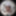 lizzy yum - panoramic images #21