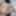 Amateur Slut Arab In Hijab Shows Big Tits, Muslim Pussy etc
