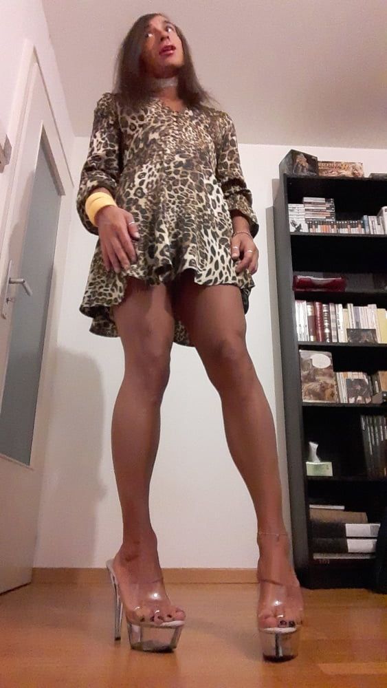 Sissy Tygra in leopard dress on 2019 octobre. #15
