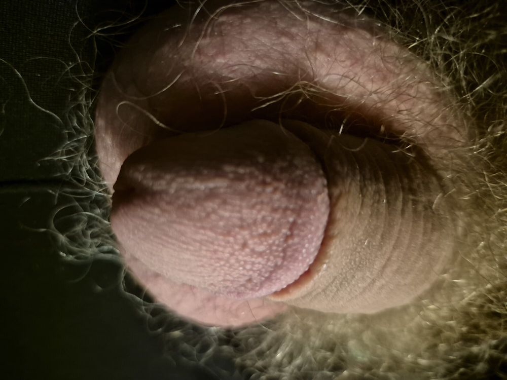 Flaccid and hairy cock #22