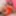 TGIRLS.XXX: In Full Bloom