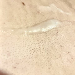 我在想我的大学教授时搞砸了
