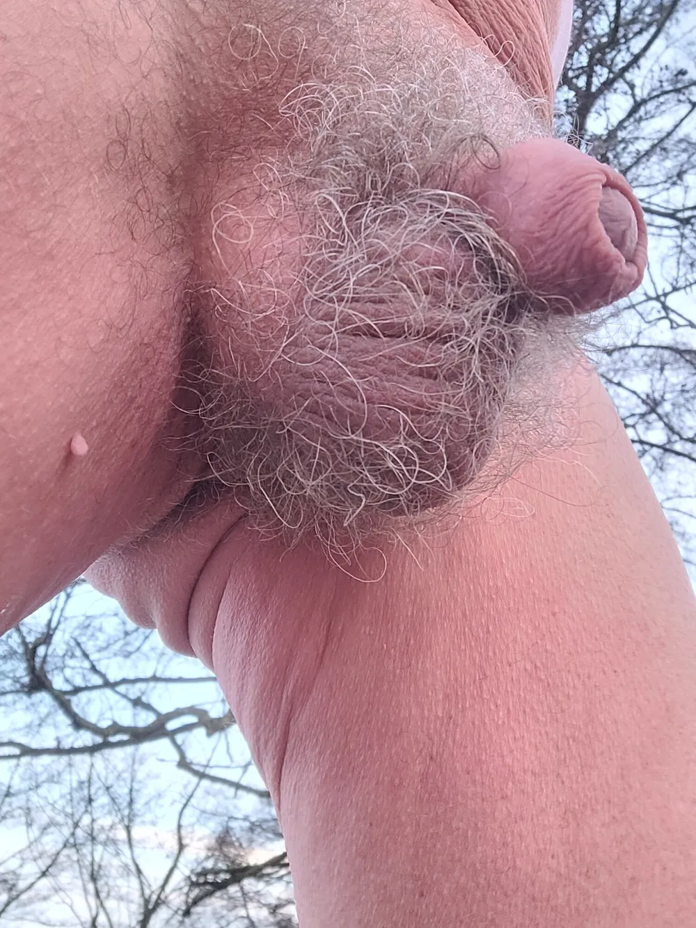 Soft, medium, hard cock #43