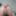 Big butt pretty bitch taking big dildos #56