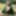 Fantasy AI Generated art of beautiful elven women.