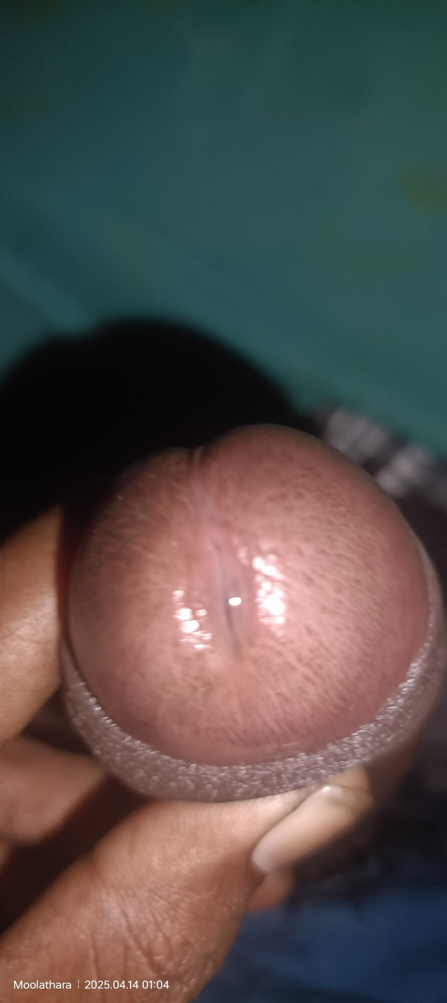 Black Dick