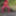 ElisyaHijabdoll Part 11 Masturbtion in the woods