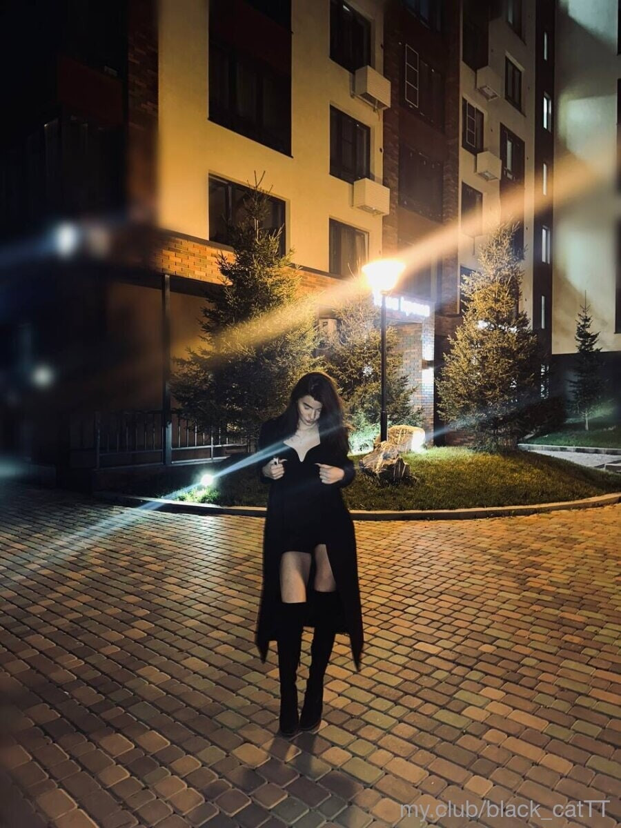 Free Black Cat Photos