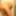 Annadevot - Dildo in the shower