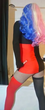 harley quinn   arkham         