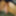 Dick pics #5