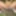 Nudist on the river
