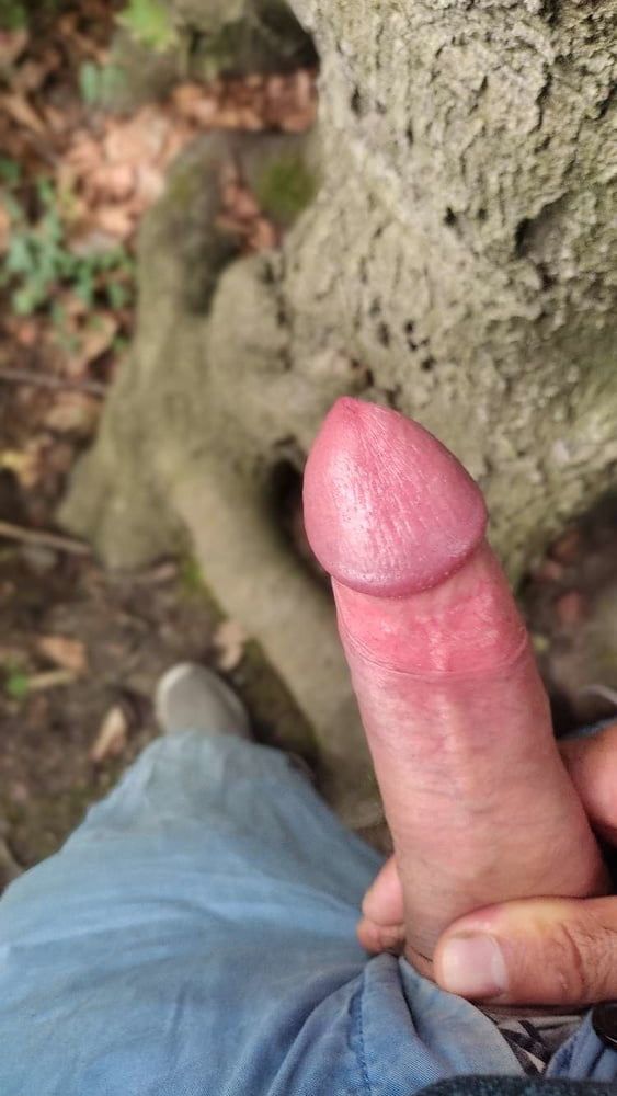 Kissing the tree with my dick #14