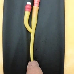 Sonda y castidad
