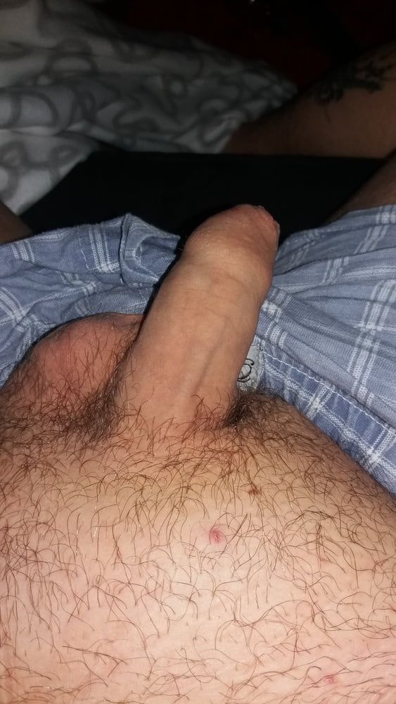 Cock #31
