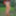 Redhead Outdoors Strips Jeans Off Wearing Pantyhose #49