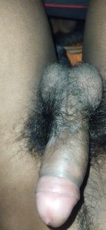 Dasi Average cock 