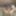 Sexy BBW Fuck Me Tits