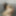 Lascivious Sex Crazed Sissy Femboy Teases and Shows off #48